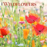 Wild Flowers Kalender 2026