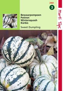 HT Bewaar pompoen Sweet Dumpling (wintersquash) - Hortitops