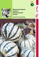 HT Bewaar pompoen Sweet Dumpling (wintersquash) - Hortitops - thumbnail