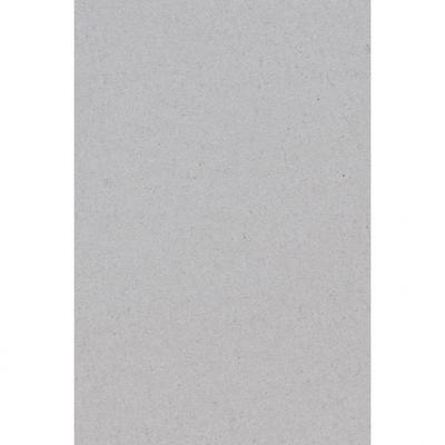 Verjaardag party tafelkleed - 2x - papier - zilver - 137 x 274 cm - met waterafstotende finish