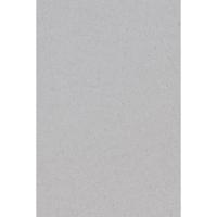 Verjaardag party tafelkleed - 2x - papier - zilver - 137 x 274 cm - met waterafstotende finish
