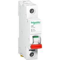 Schneider Electric A9S66191 100 A 240 V
