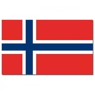 Vlag van Noorwegen - 90 x 150 cm - feestartikelen - landen thema - supporters - versiering