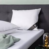 Hoofdkussen Dons 100% Eendendons 60x70 Cm Anti Allergie & Anti Huisstofmijt & Ademend & Zacht & Medium & Rug Slaper & Zij Slaper Presence -