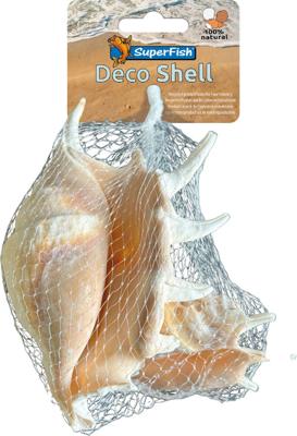 Deco schelp spider 150 gram Superfish - Superfish