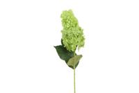 Decostar Hydrangea Macrophylla 83 cm groen