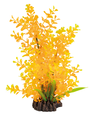 Superfish Art Plant Ludwigia Orange 25cm - Onderhoudsvrije Kunstplant met Realistische Rotsbasis