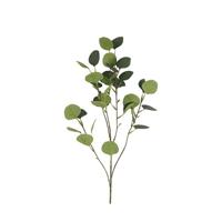 Kunstblad Eucalyptus