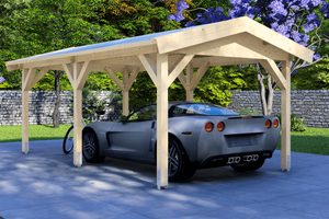 Carport 300x600 cm zadeldak - Van Kooten