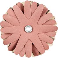 PFERD TOOLS 42732149 Schuursterren Diameter 90 mm 10 stuk(s)