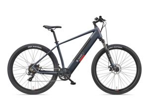 TELEFUNKEN E-mountainbike Klimmer M921 29" (Graniet grijs, 29")