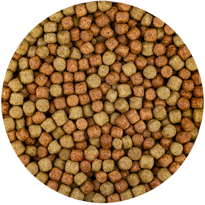 Vivani Grower 6mm Visvoer voor Optimale Groei en Gezondheid - Premium 15kg