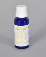 Vita Syntheses quantenbron +3 (30 ml) - thumbnail