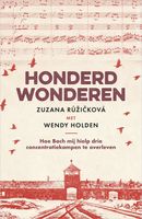 Honderd wonderen - Zuzana Ruzickova, Wendy Holden - ebook