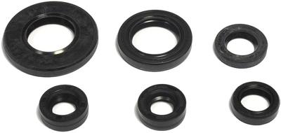 ATHENA Motorshield tt-r 125 ex, 05-10,