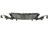 Radiateurgrille 6502075519992P