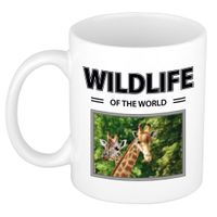 Giraf mok met dieren foto wildlife of the world - thumbnail