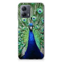 Motorola Moto G53 TPU Hoesje Pauw