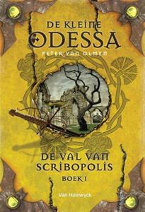 De val van Scribopolis (Hardback)