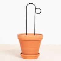 Plantensteun Pompom