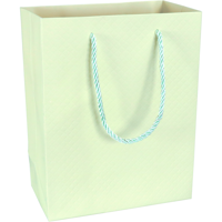 Tas | Papier | embossed | 18x 10x23cm | draagtas | pastelgroen | 40 stuks