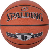 Spalding TF Silver In/Outdoor