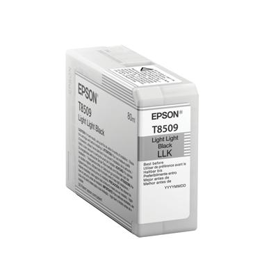 Originele inktcartridge Epson C13T850900