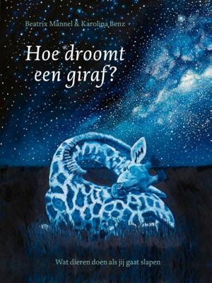 Hoe droomt een giraf? (Hardback)