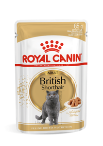 Royal Canin British Shorthair Adult natvoer kattenvoer 12x85g