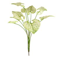 Brunnera kunstplant 55cm - creme/groen - thumbnail