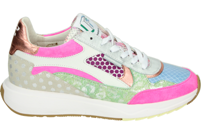 Floris van Bommel SUVI 03.06 - alle