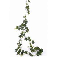 Klimop slinger Hedera Gala 205 cm   - - thumbnail