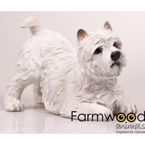 Dierenbeeld westie terrier hond 18 cm