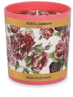 Dolce & Gabbana bougie parfumée à fleurs (250g) - Rose - thumbnail