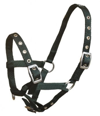 S2G halster Standard Veulen verstelbaar nylon donkergroen