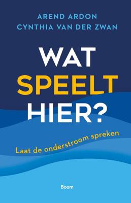 Wat speelt hier? (Hardback)