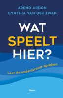 Wat speelt hier? (Hardback)