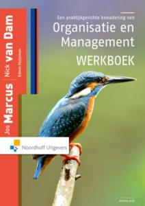 Een praktijkgerichte benadering van organisatie en management (Paperback)
