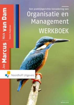Een praktijkgerichte benadering van organisatie en management (Paperback)