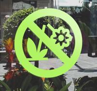 Verboden Bloemen te Plukken Muursticker