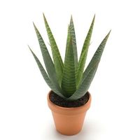 Kunstplant Aloe Vera - groen - in terracotta pot - 23 cm - thumbnail