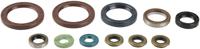 ATHENA motor-keerring set motorshield sx-f 450, 07-10,