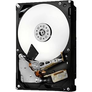 Ultrastar 7K6000, 6 TB Harde schijf