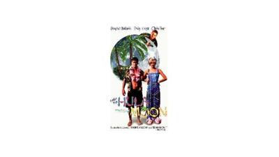 DVD under the hula moon