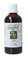 Natura Sanat Tanacetum parthenium herb/moederkruid tinctuur