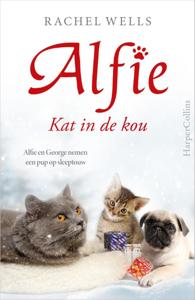Kat in de kou (Paperback)