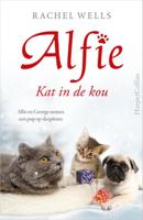 Kat in de kou (Paperback)