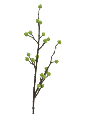 Cornoe green 60 cm (S) kunstbloem - Nova nature
