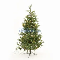 Kunstkerstboom Frasier Fir 185 cm Hoog Groen 288 lampjes Black Box Trees