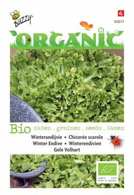 Organic Andijvie gele Volhart (Skal 14725) - Buzzy